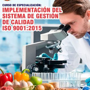 IMPLEMENTACIÓN DEL SISTEMA DE GESTIÓN DE CALIDAD - ISO 9001:2015