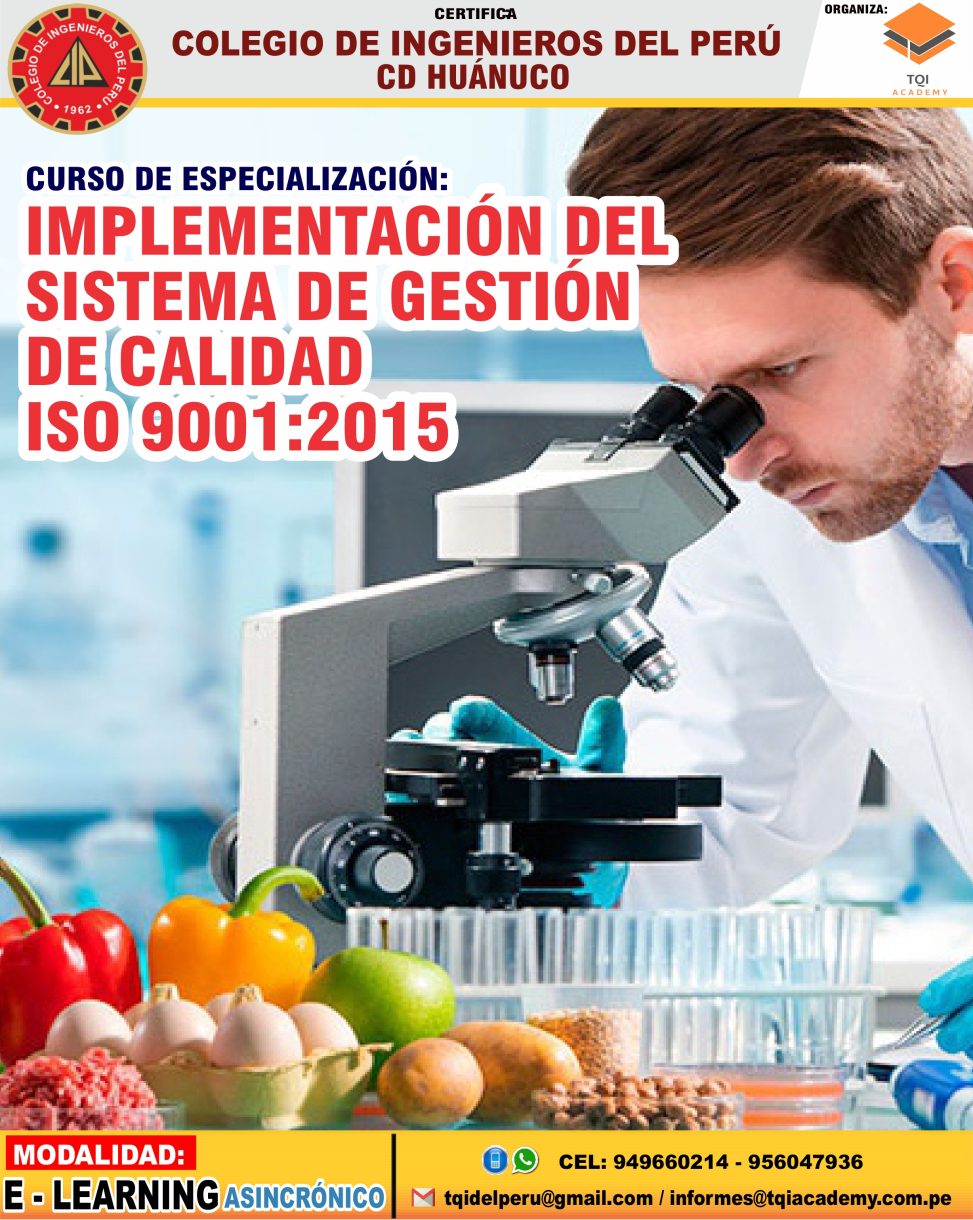 IMPLEMENTACIÓN DEL SISTEMA DE GESTIÓN DE CALIDAD ISO 9001:2015 - TQI ...