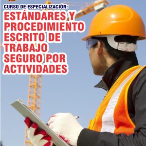 ESTÁNDARES Y PROCEDIMIENTO ESCRITO DE TRABAJO SEGURO POR ACTIVIDADES - Imagen 1