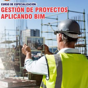 GESTIÓN DE PROYECTOS APLICANDO BIM - Imagen 1