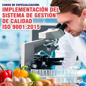 IMPLEMENTACIÓN DEL SISTEMA DE GESTIÓN DE CALIDAD ISO 9001:2015 - Imagen 1