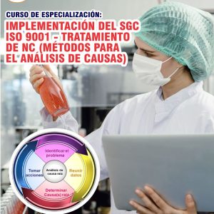 IMPLEMENTACIÓN DEL SGC ISO 9001 - TRATAMIENTO DE NC (MÉTODOS PARA EL ANÁLISIS DE CAUSAS) - Imagen 1