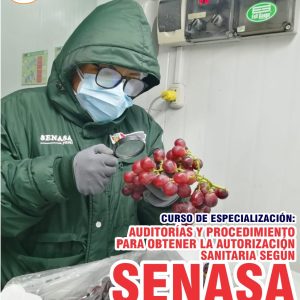 AUDITORÍAS Y PROCEDIMIENTO PARA OBTENER LA AUTORIZACIÓN SANITARIA SEGÚN SENASA - Imagen 1