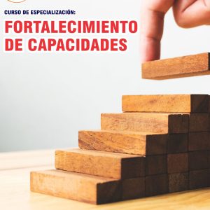 FORTALECIMIENTO DE CAPACIDADES - Imagen 1