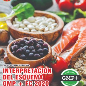 INTERPRETACIÓN DEL ESQUEMA GMP + FC 2020