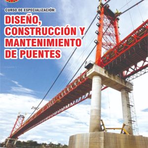 DISEÑO, CONSTRUCCIÓN Y MANTENIMIENTO DE PUENTES - Imagen 1