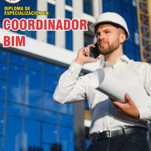 COORDINADOR BIM