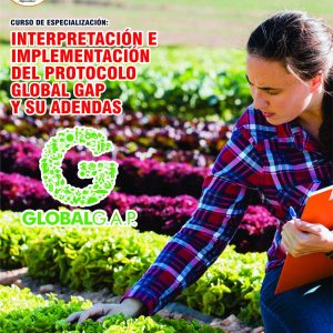 INTERPRETACIÓN E IMPLEMENTACIÓN DEL PROTOCOLO GLOBAL GAP Y SUS ADENDAS