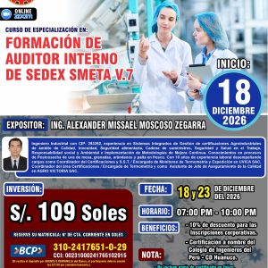 FORMACIÓN DE AUDITOR INTERNO DE SEDEX SMETA V.7